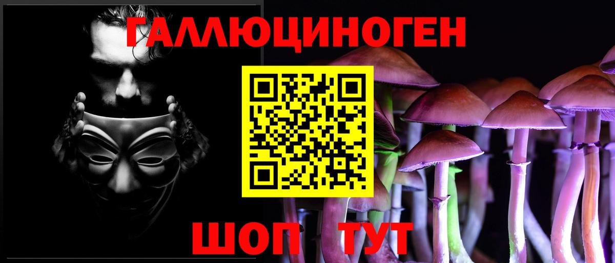 Галлюциногенные грибы Psilocybe  Вход с VPN  Люберцы 